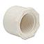 TAPON PVC ROSCADO 1-1/2